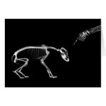 Bad Dog X-Ray Skeleton in Black & White Greeting Cards