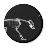 Bad Dog X-Ray Skeleton in Black & White Refrigerator Magnets