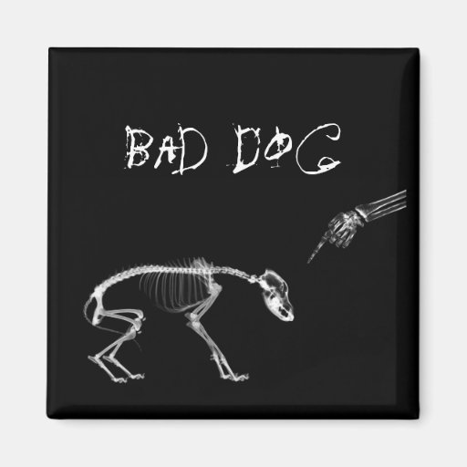 Bad Dog X-Ray Skeleton in Black & White Magnet