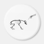 Bad Dog X-Ray Skeleton in Black & White Magnets