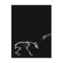 Bad Dog X-Ray Skeleton in Black & White Post Card