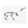 Bad Dog X-Ray Skeleton in Black & White Postcards