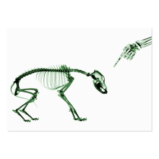 Bad Dog X-ray Skeleton in Green Business Card Template (back side)