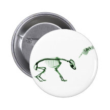 Bad Dog X-ray Skeleton in Green Buttons
