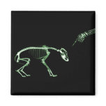 Bad Dog X-ray Skeleton in Green Magnets