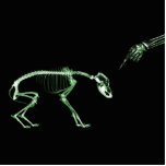 Bad Dog X-ray Skeleton in Green Cut Outs