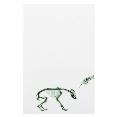 Bad Dog X-ray Skeleton in Green Stationery by VoXeeD