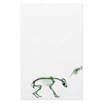 Bad Dog X-ray Skeleton in Green Stationery