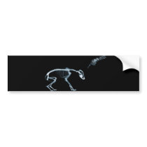 Bad Dog Xray Skeleton Black Blue bumper stickers