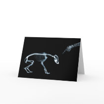 Bad Dog Xray Skeleton Black Blue Cards