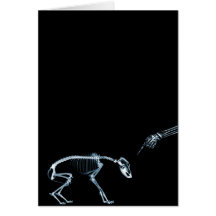 Bad Dog Xray Skeleton Black Blue Cards