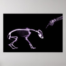 Bad Dog Xray Skeleton Black Purple Print