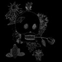 Bad Girl Mexican Skulls, Flowers and Butterflies t-shirts