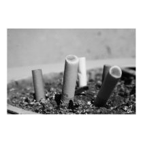 Bad Habits posters by RJphotography Bad Habits posters
