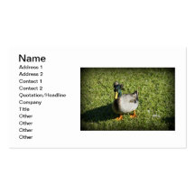 Bad Hair Day Business Card Template