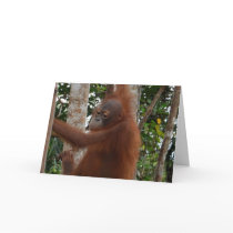 Bad Hair Day cards by Rebecca_Reeder Bad Hair Day cards