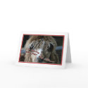 bad hair day cards by picketty bad hair day cards