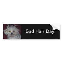 Bad Hair Day - Dog and People Humor Bumper Stickers