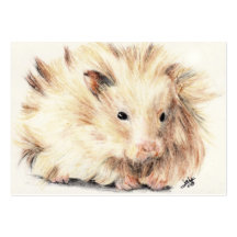 Bad Hair Day (Hamster) ACEO Art Trading Cards Business Card Templates