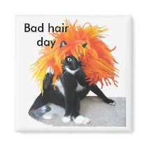Bad hair day magnets by Annaart Bad hair day magnets