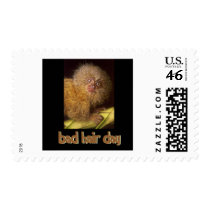 Bad Hair Day Marmoset postage by teachergurrl Bad Hair Day Marmoset postage