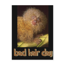 Bad Hair Day Marmoset postcards