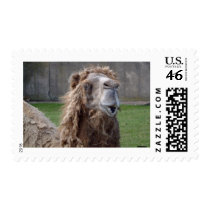 Bad Hair Day Postage