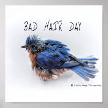 Bad Hair Day Poster