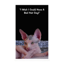 "Bad Hair Day" posters by Pamela48 "Bad Hair Day" posters
