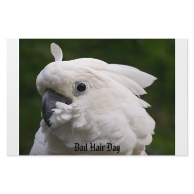 Bad Hair Day Custom Stationery by FREEMSUZ