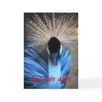 Bad Hair Days Greeting Card