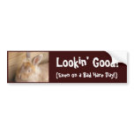 Bad Hare Day Bumper Stickers