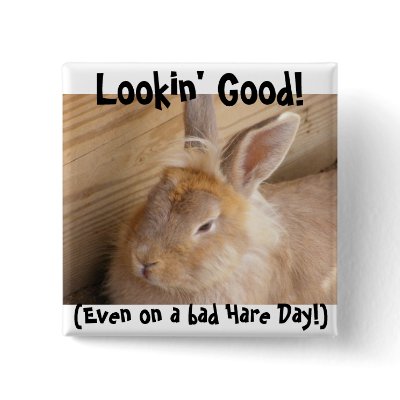 Bad Hare Day Pinback Buttons by SuanSilverTree