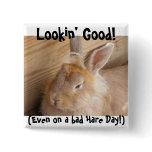 Bad Hare Day Pinback Buttons
