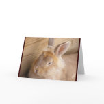 Bad Hare Day Greeting Card