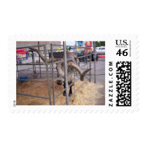 Bad Horn Day postage