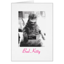 Bad Kitty cards
