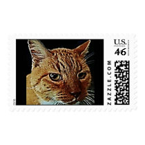Bad Kitty Postage Stamps