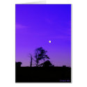 Bad Moon Rising cards by StarLily Bad Moon Rising cards