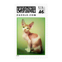 BAD NO HAIR DAY postage by arlene620 BAD NO HAIR DAY postage