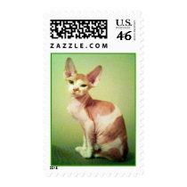 BAD NO HAIR DAY  postage