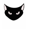 Bad pussy t-shirts