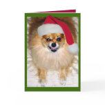 Bad Santa Christmas Card