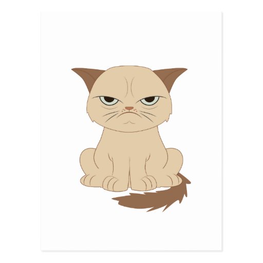 Badtempered cat postcard Zazzle