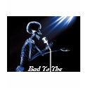 Bad To The Bone! - Kids Basic T t-shirts