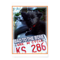 bad to the bone posters by hawgonahog bad to the bone posters