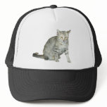Baddass Cat Ballpark Cap Mesh Hat