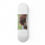Bade Ape Skate Decks