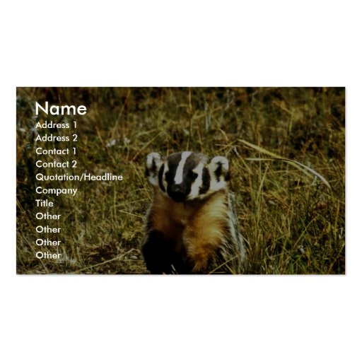 Badger Business Card