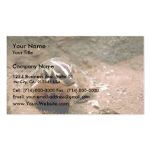 Badger Business Card